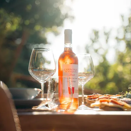 Dimora Su Tramonti A Due Passi Dal Mare!